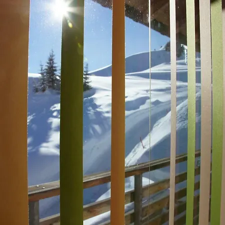 Bergfuehrer 公寓 Warth (Vorarlberg)